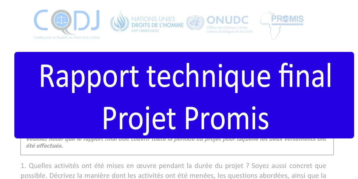 Projet Promis